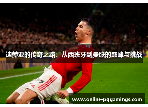 迪赫亚的传奇之路:从西班牙到曼联的巅峰与挑战 迪赫亚的传奇之路:从西班牙到曼联的巅峰与挑战