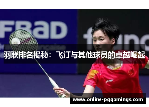 羽联排名揭秘：飞汀与其他球员的卓越崛起